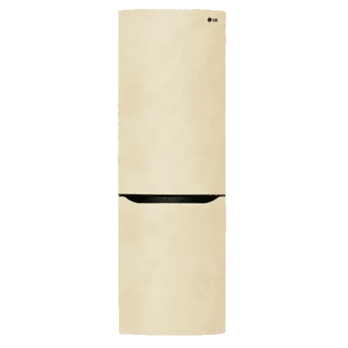 холодильник LG GA-B389SECZ